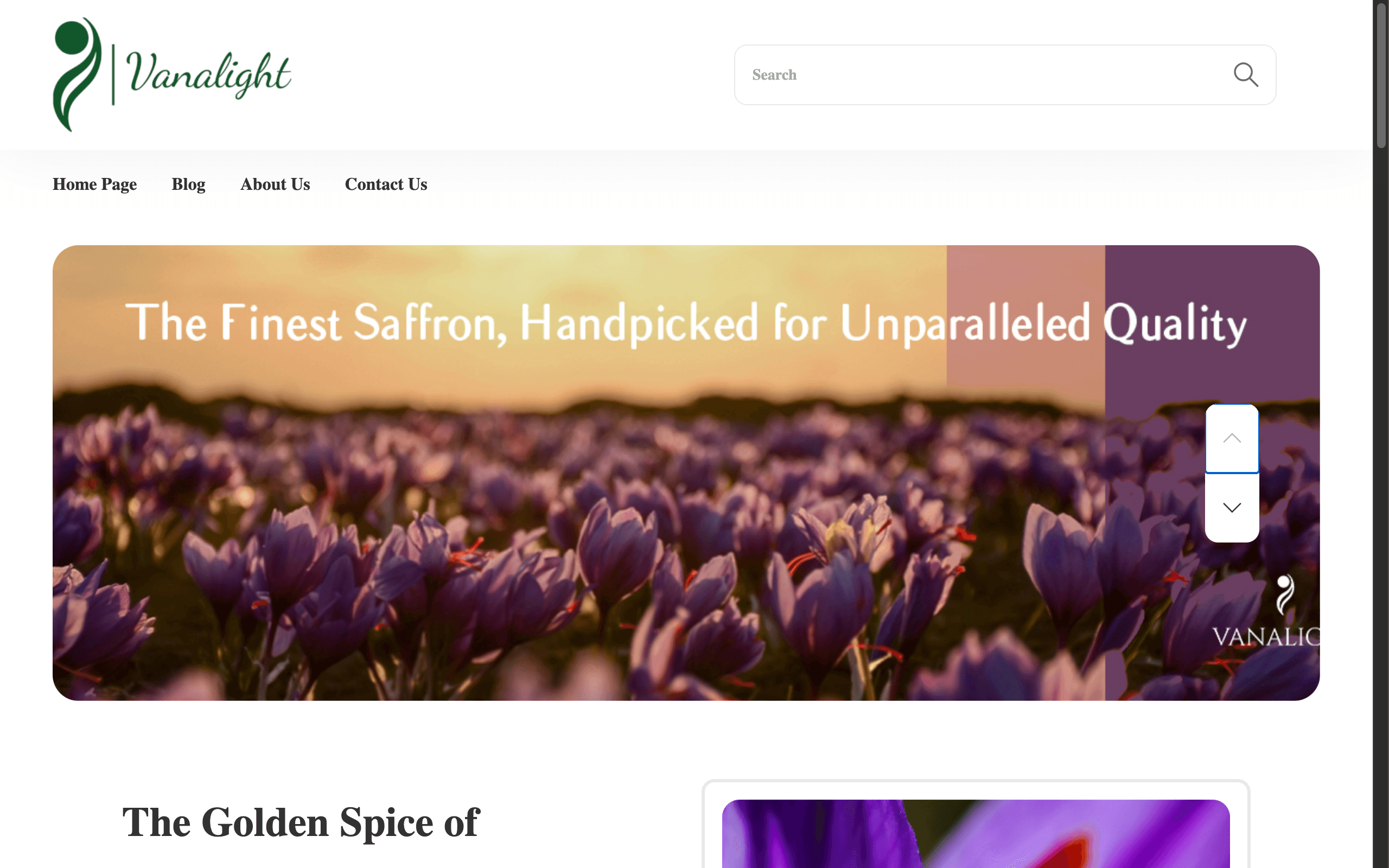 Homepage screenshot of Vanalight (vanalight.com)